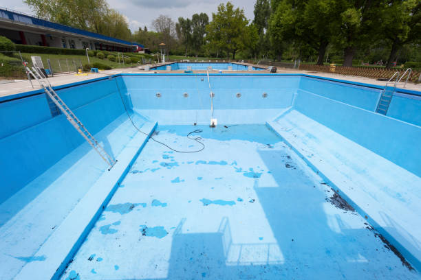 Best Water damage cleanup near me  in Nappanee, IN
