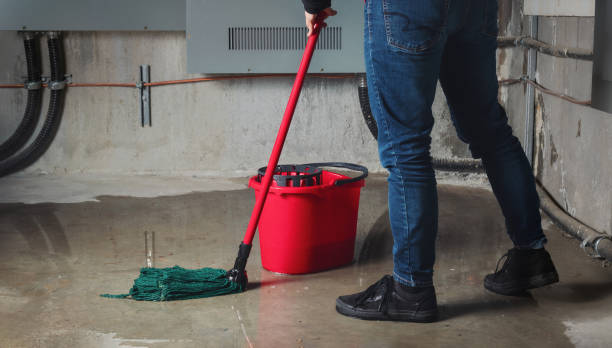 Best Basement water damage restoration  in Nappanee, IN