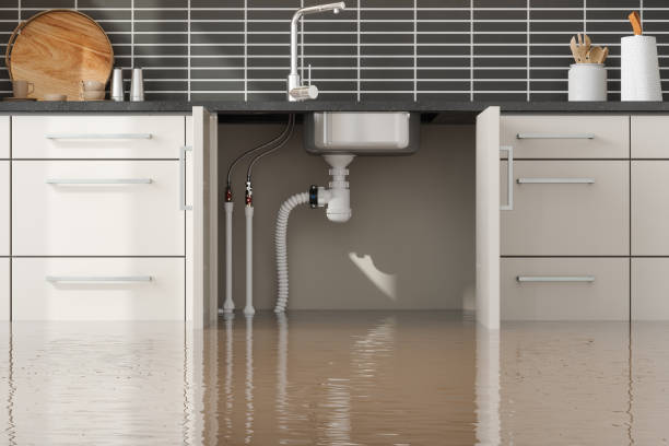 Trusted Nappanee, IN Water damage restoration Experts