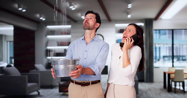 Best Ceiling water damage repair  in Nappanee, IN