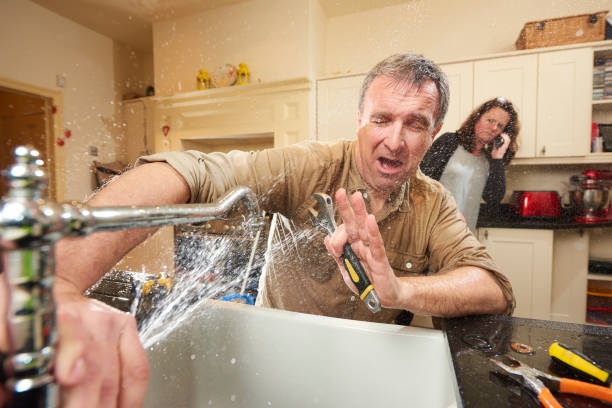 Best Local water damage restoration  in Nappanee, IN